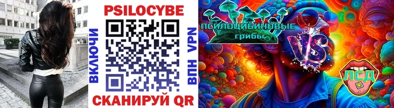 Псилоцибиновые грибы MAGIC MUSHROOMS  Сясьстрой 